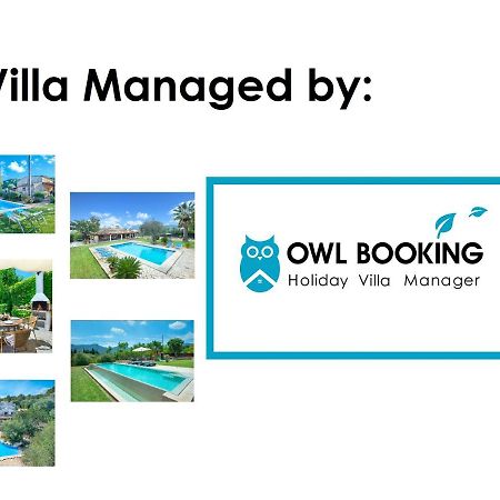 Owl Booking Villa Volanti - 5 Min Walk To The Old Town Pollença Buitenkant foto